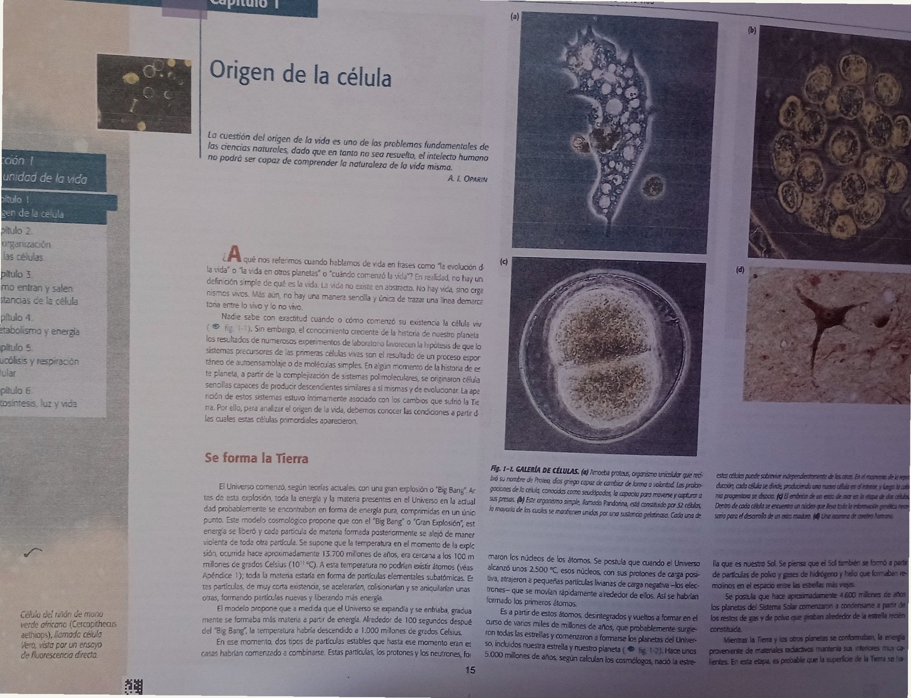 Foto real de apuntes de Biología