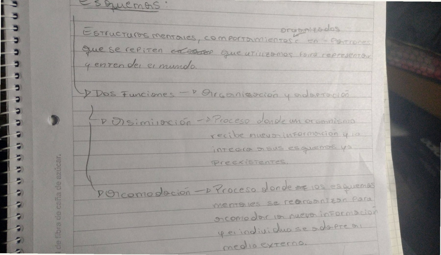 Apuntes manuscritos fotografiados